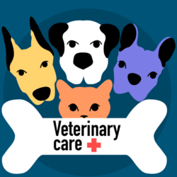 Оформление фирменного стиля ветеринарной клиники