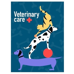 Постер ветеринарной клиника