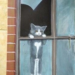 котенок  хочет  на  свободу