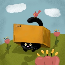 Кот прячется под коробкой
