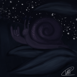 Тусующаяся улитка ночью