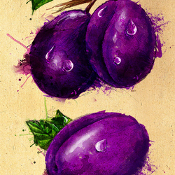 Plum