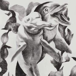 Дельфины в прокрастинации 