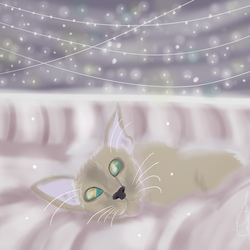 christmas cat