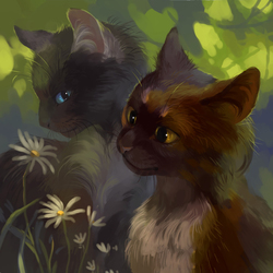 Коты-воители - Пестрошёрстка и Облачник