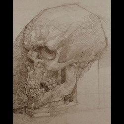 Skull