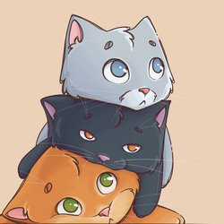Котики