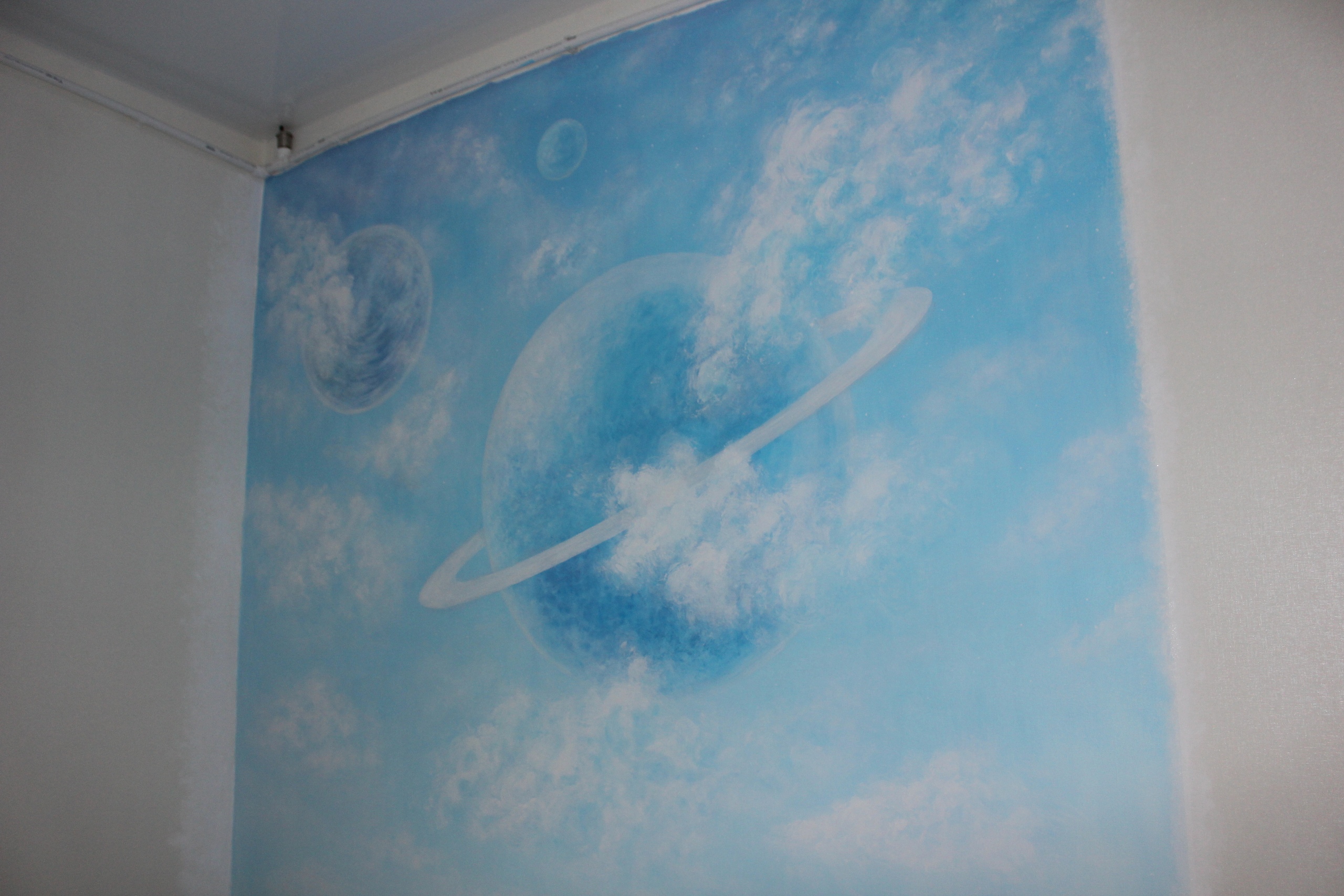 Роспись стены по заказу