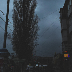 Городская рутина 