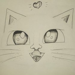 🐱