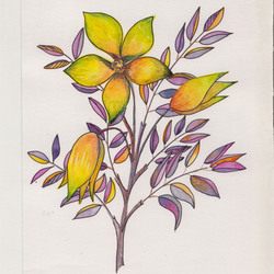 жёлтые цветы