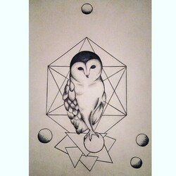 Сова с элементами графики