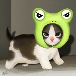 кіт лягуШка