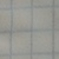 проснувшийся кот