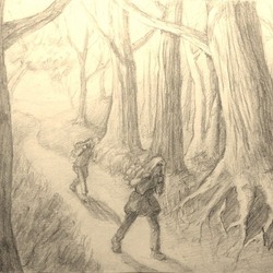 солнце леса