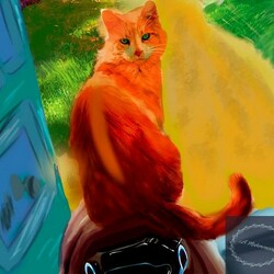 дверь в лето