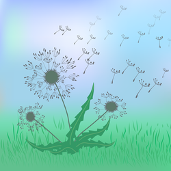 Танец одуванчиков