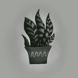 Тещин язык в ч/б