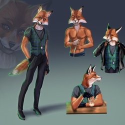 Bad Fox