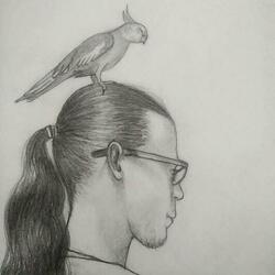 Король птиц