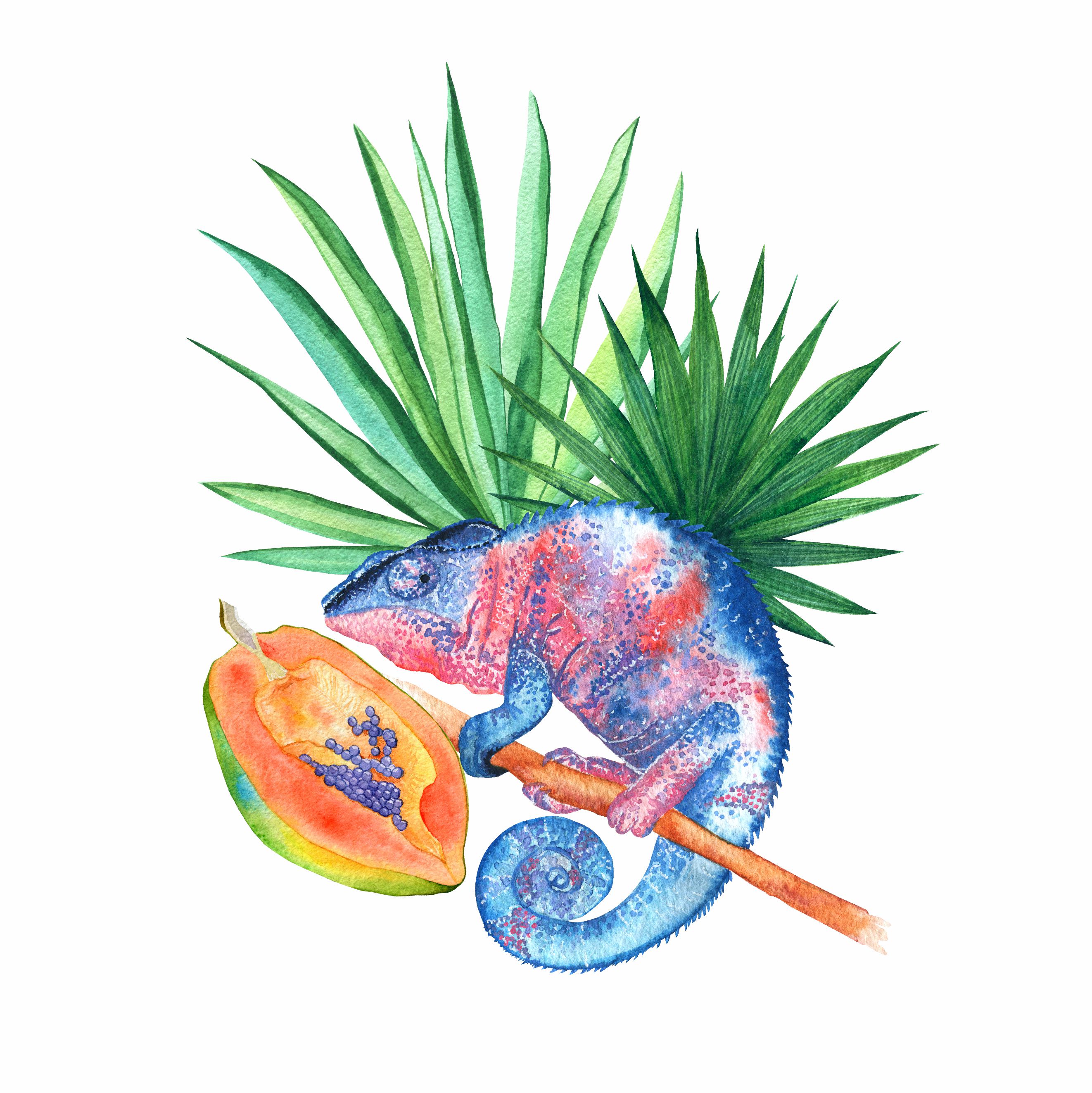 Композиция с хамелеоном