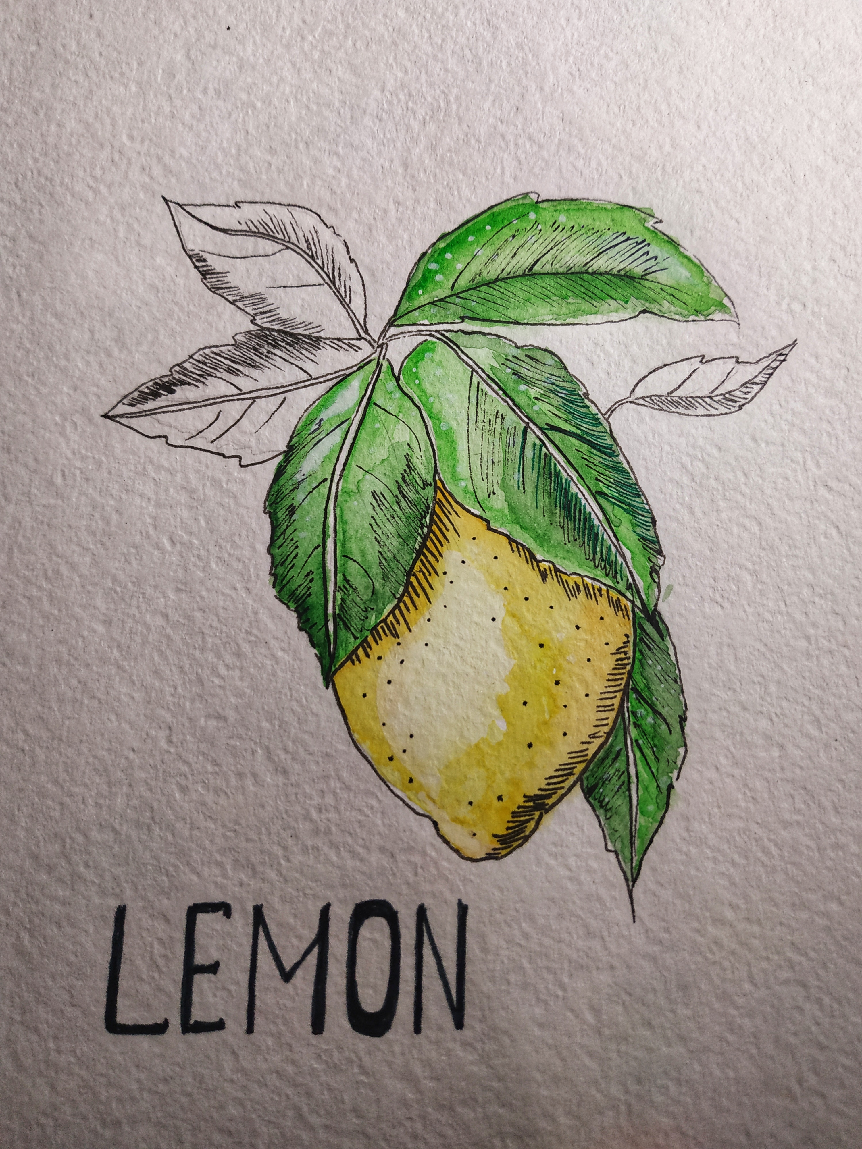 Скетч лимон Акварельные карандаши