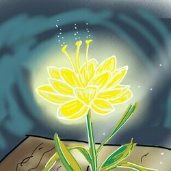 Цветок и книга