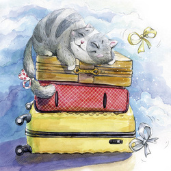 Самолётный кот