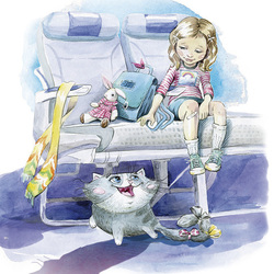 Самолётный кот