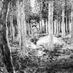 Всадник Леса