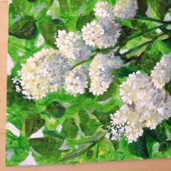 Белая серень