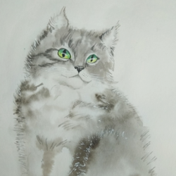 кот