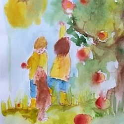 Урожай яблок 