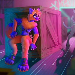 commission 6