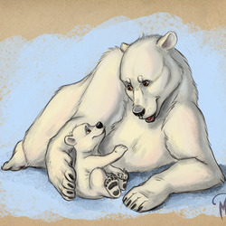 Полярные мишки