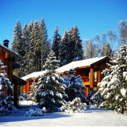 Лучший и незабываемый отдых в парк-отеле «LES Art Resort»