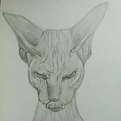 Доброе утро