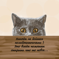 Любопытный котик)