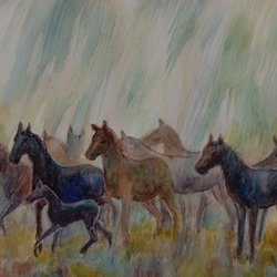 Лошади под дождем