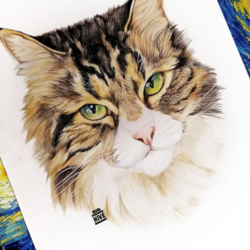 Портрет кошки