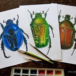 Разноцветные жуки. Иллюстрации для журнала MODIMIO