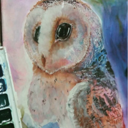 Сова вида Сипуха