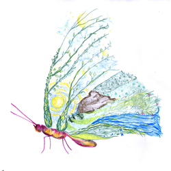 Эффект Бабочки