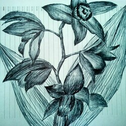 еще орхидея