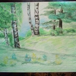 опушка леса