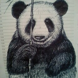 панда