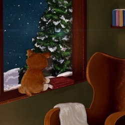 New Year’s night