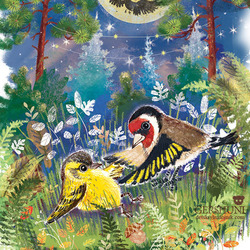 друзья Чиж и Щегол))