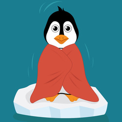 Cute penguin in a red blanket on a drifting ice floe