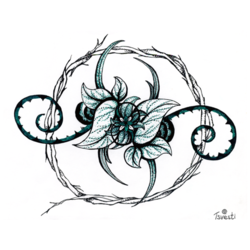 Алтайский круг